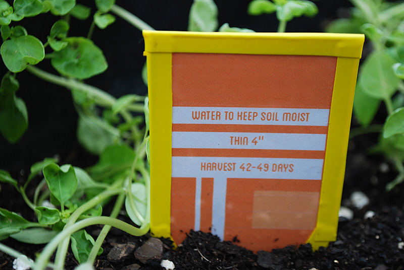 These seed markers not only help you keep track of which seeds are what but