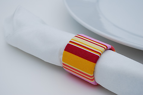 Recycled Fabric Napkin Rings from Sarah Wrap Tubes for Earth Day Green Crafts