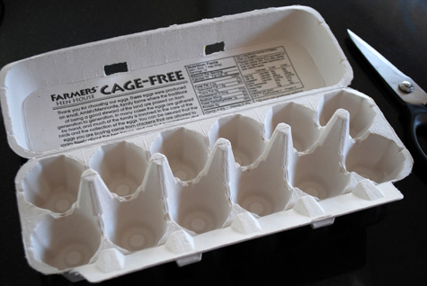 Craft Ideas  Cartons on Holder From A Recycled Egg Carton Craft Idea And Free Project Tutorial