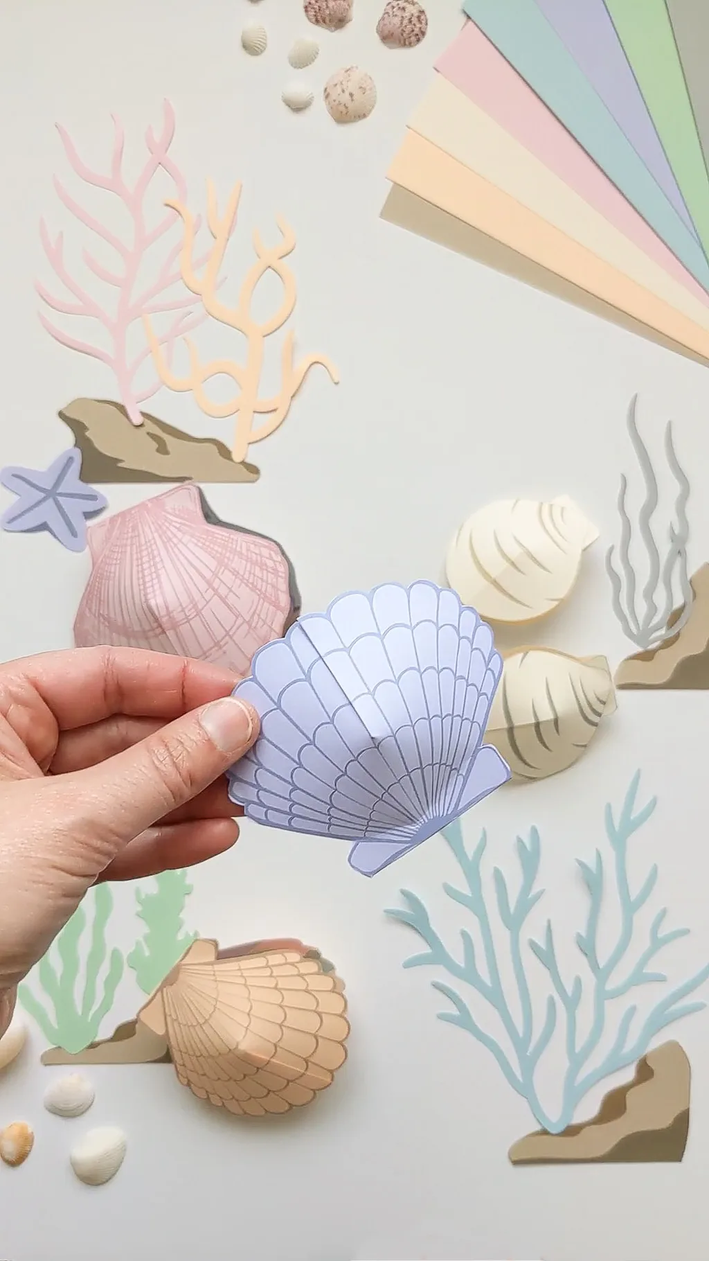 3D paper seashell using cardstock paper