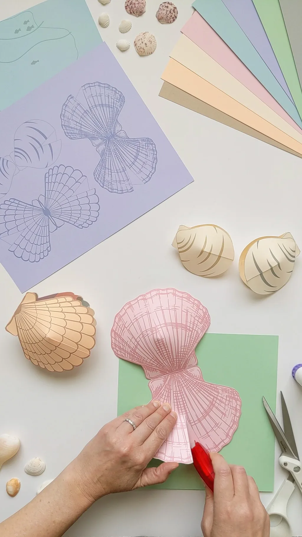 How to make 3D paper shells - summer craft for kids