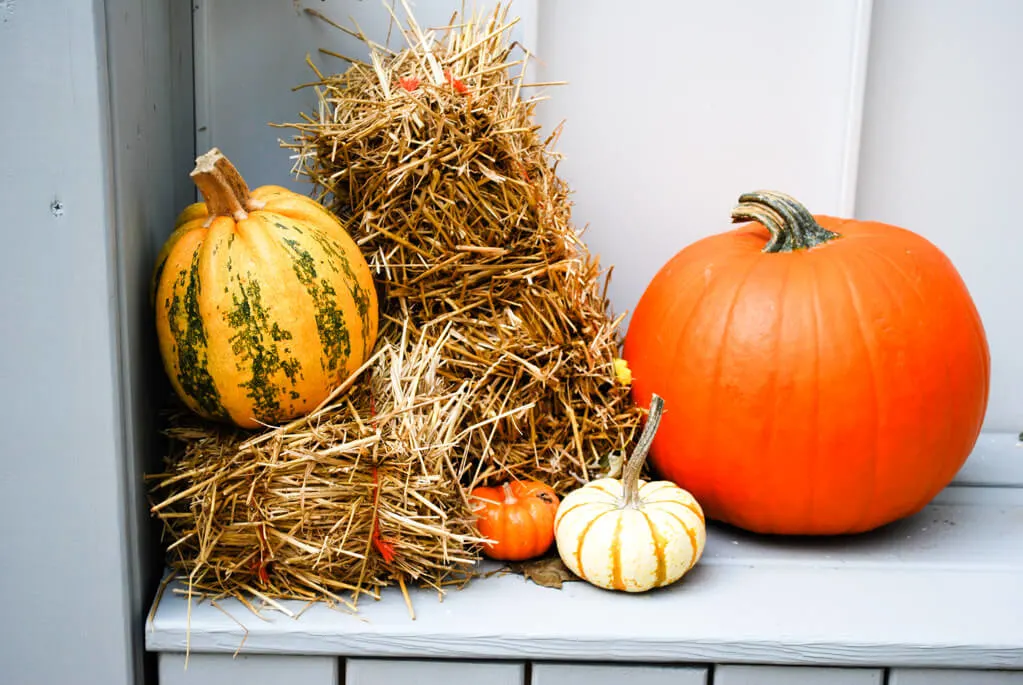 Pumpkins and hay fall front porch decor