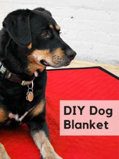 Dog sitting on a DIY dog blanket