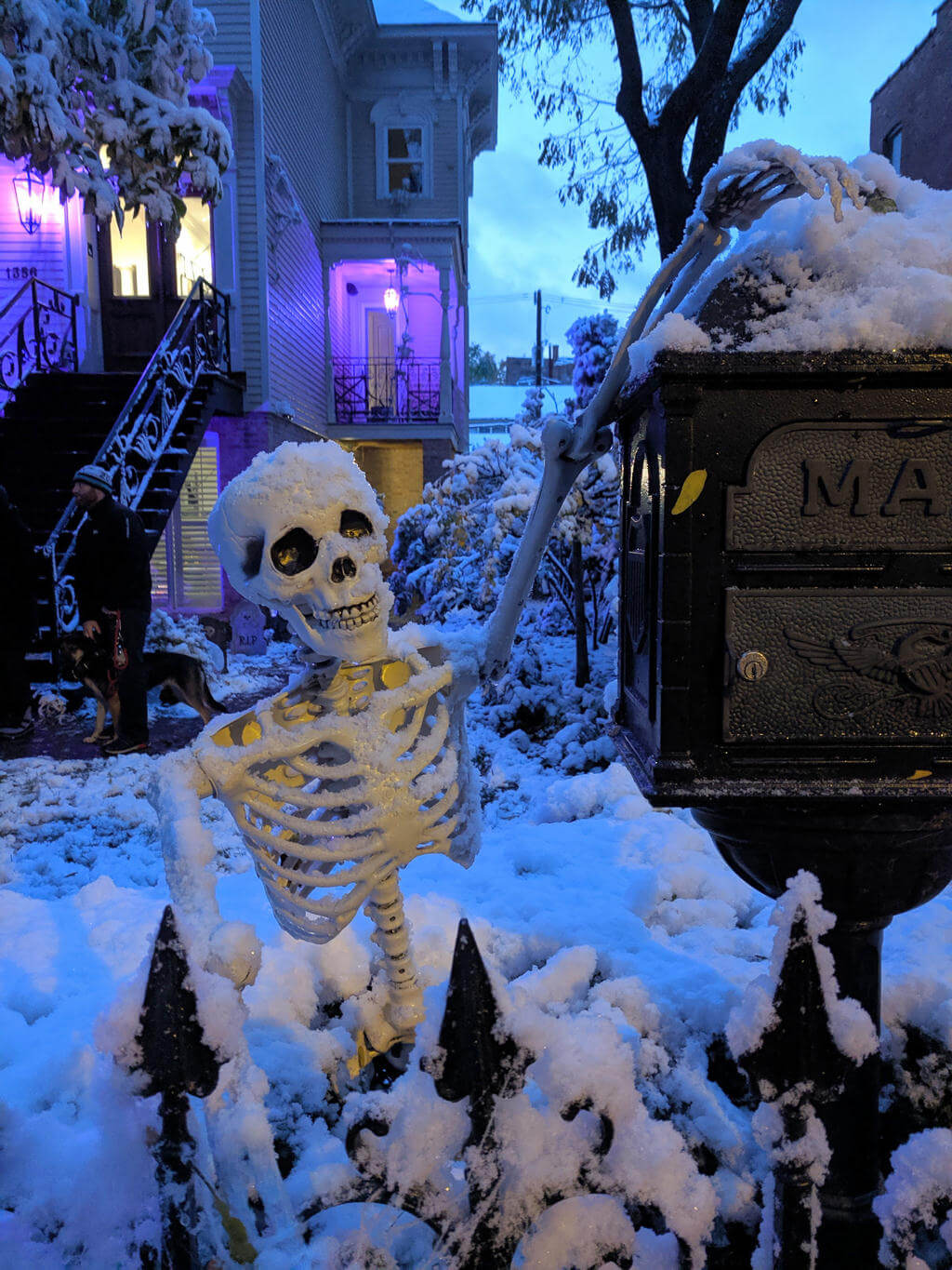 Halloween skeleton yard decoration with snow