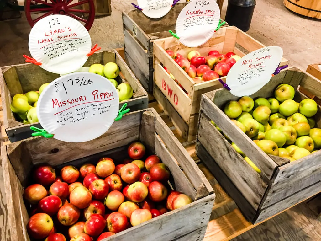 Apple varieties at Brightonwoods Apple Orchard