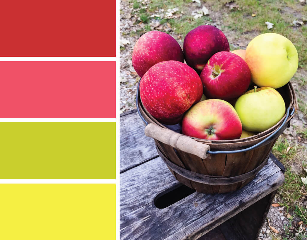 Apples color palette. Try this apple-inspired color red, pink, green and yellow color palette for fall parties, cards, scrapbooking, fall wedding color palettes, birthday parties and more #Colorize #ABColorPalette #ad