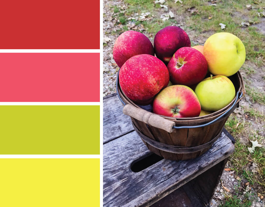 Apples color palette. Try this apple-inspired color red, pink, green and yellow color palette for fall parties, cards, scrapbooking, fall wedding color palettes, birthday parties and more #Colorize #ABColorPalette #spon