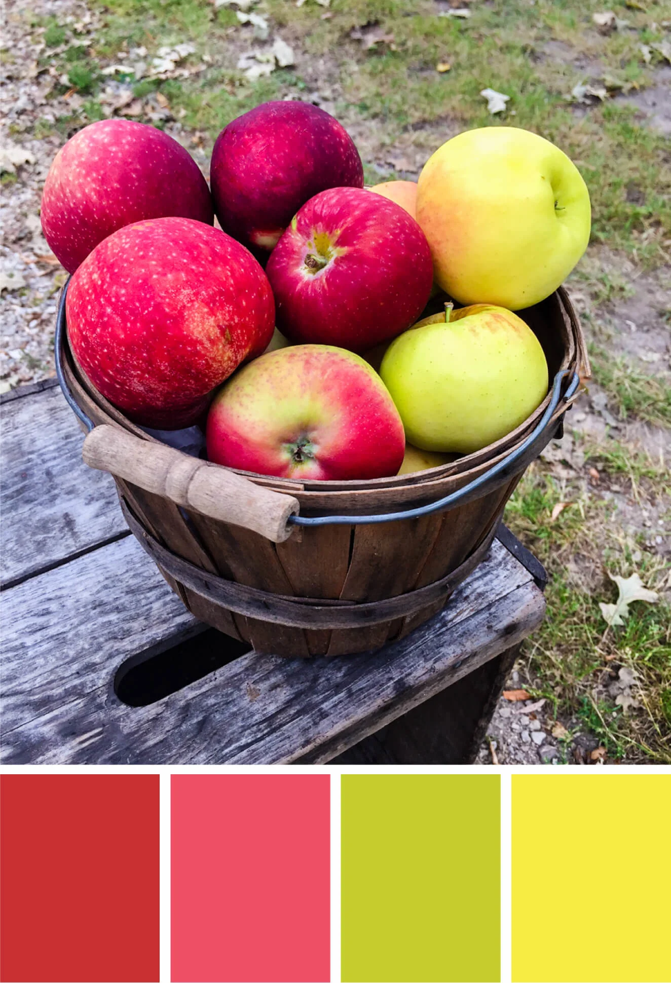 Apples color palette. Try this apple-inspired color red, pink, green and yellow color palette for fall parties, cards, scrapbooking, fall wedding color palettes, birthday parties and more #Colorize #ABColorPalette #spon