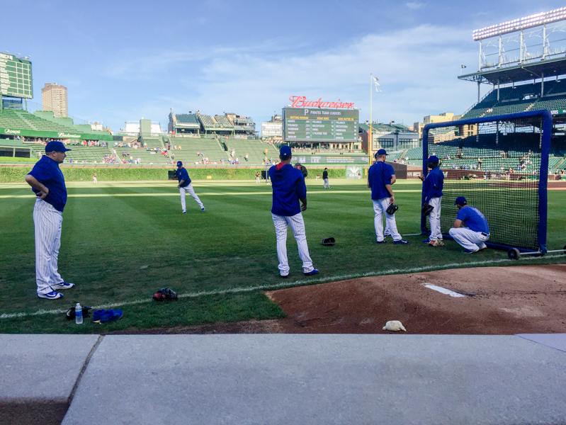 Color Inspiration: Cubs Baseball Game at Wrigley Field - Merriment Design