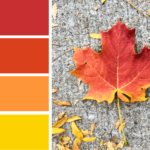 Color inspiration: Fall leaves color palette