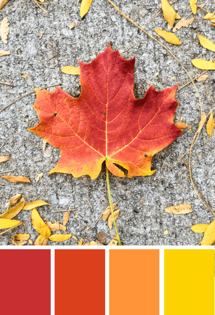 'Fall leaves color palette inspiration. Try this red, orange and yellow color palette on your fall paper crafts, fall wreaths, Thanksgiving table decor, fall wedding colors and more #Colorize #ABColorPalette