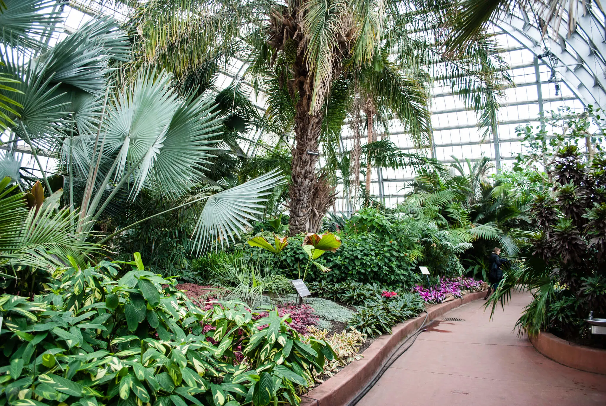 Garfield Park Conservatory, Chicago