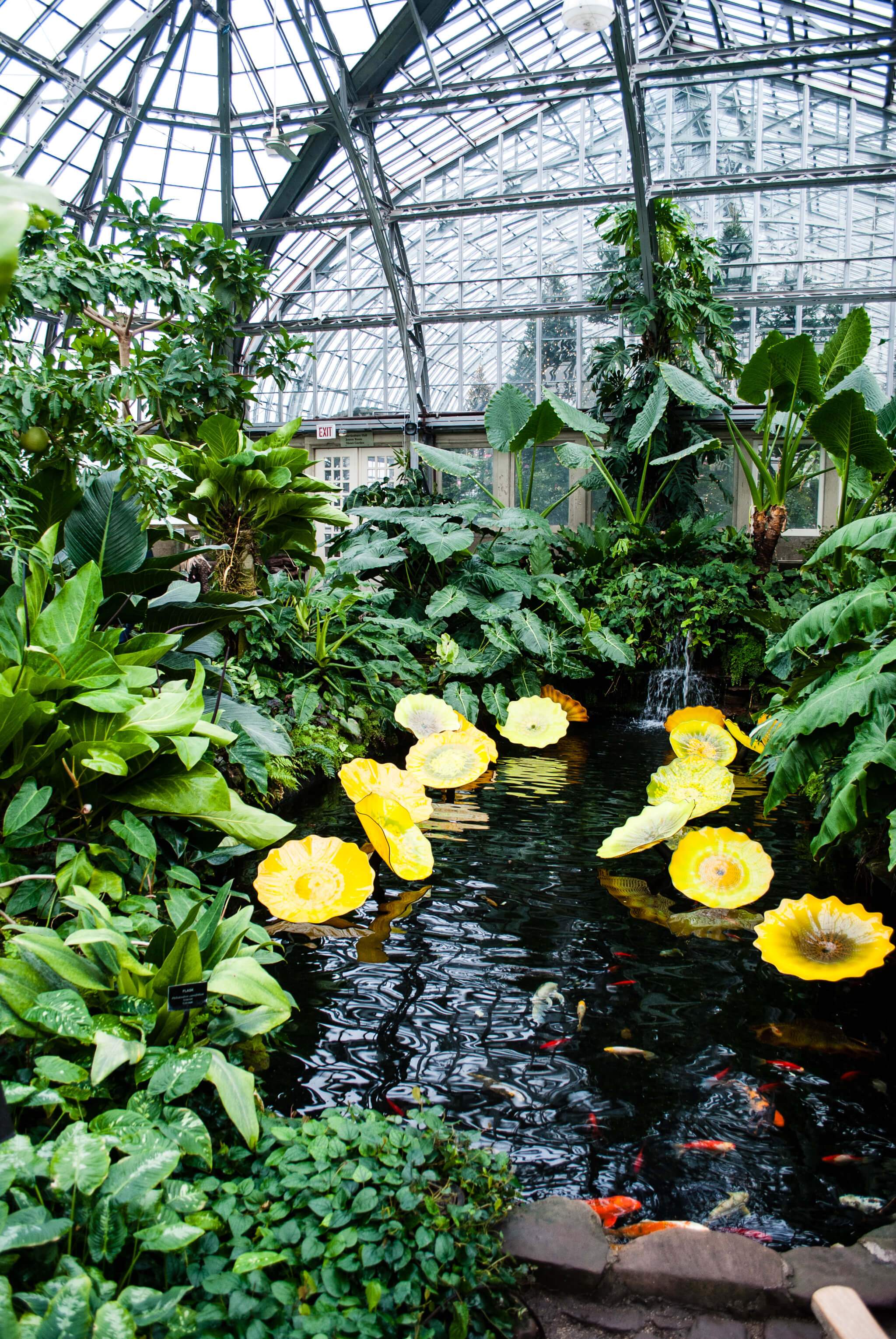 Garfield Park Conservatory, Chicago