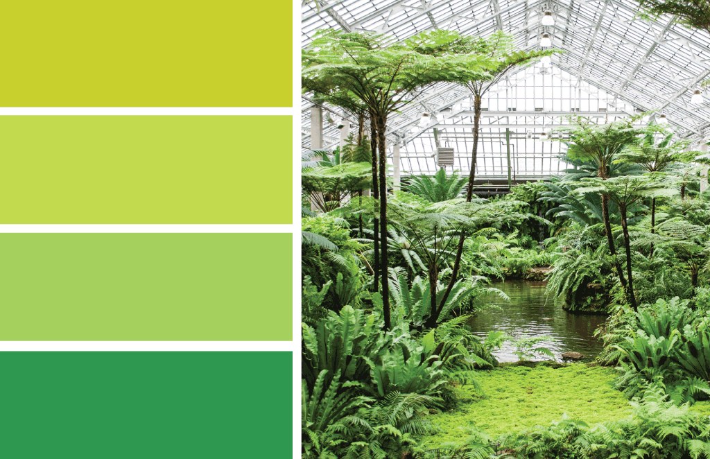 Color inspiration: Fresh starts