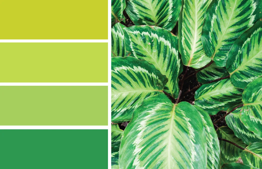 Color Inspiration: A New Leaf - Merriment Design