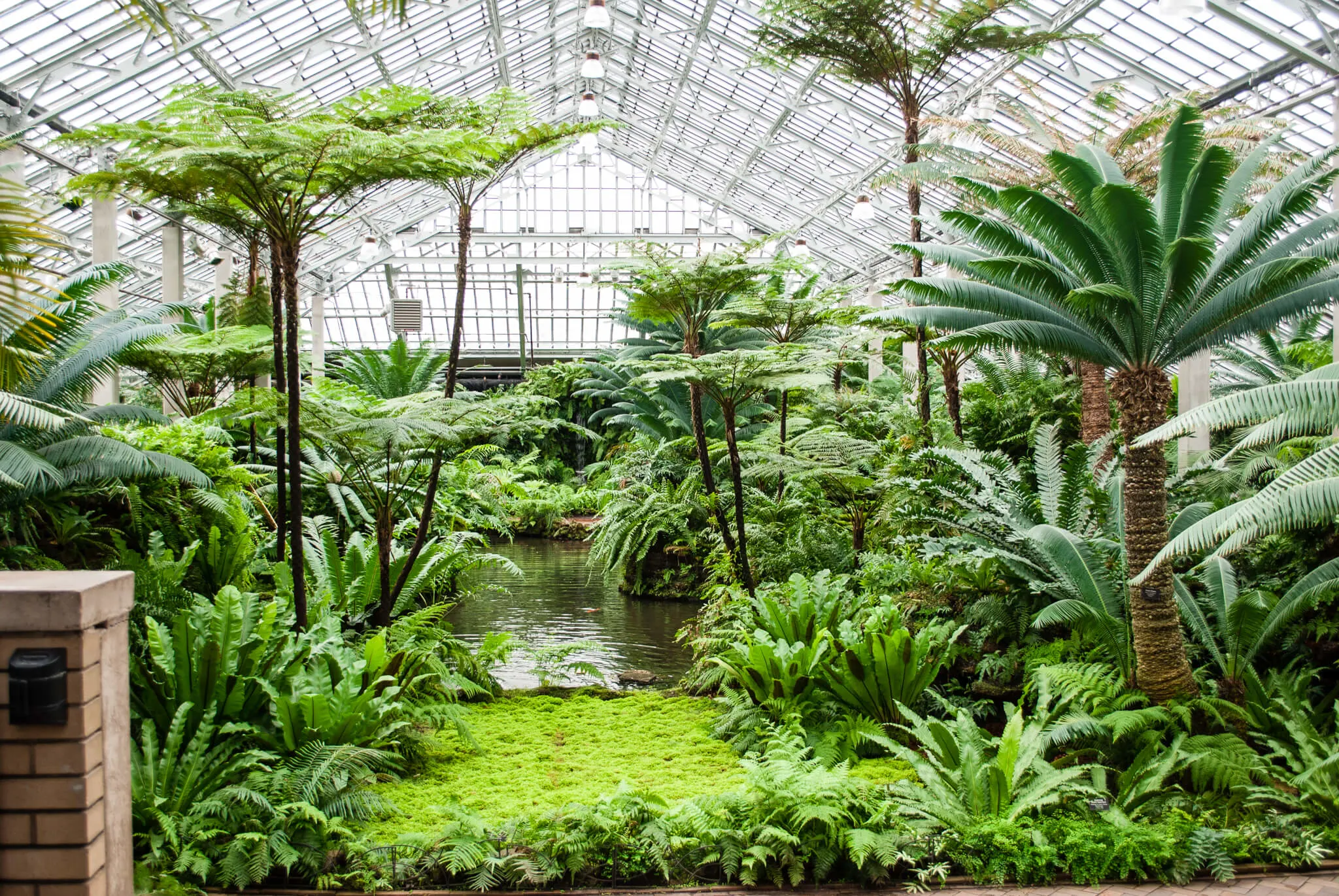 Garfield Park Conservatory, Chicago