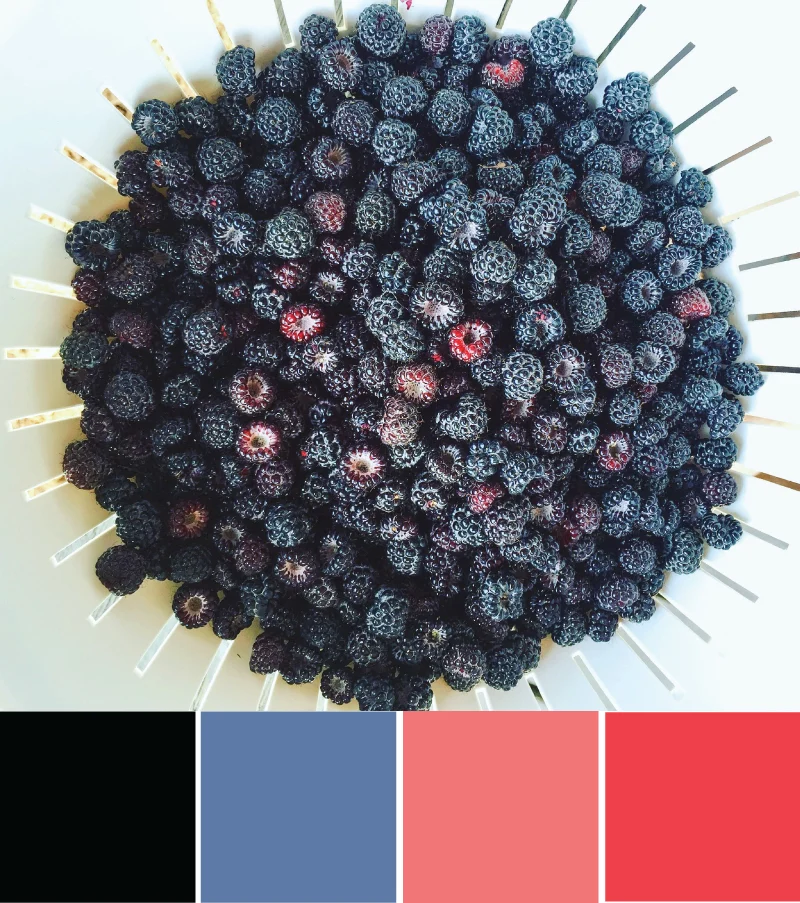 'Summer berry picking' color palette inspiration. Try this patriotic red, blue and black color palette on your paper crafts, scrapbooks, seasonal wreaths, handmade cards, weddings, birthday parties and more #Colorize #ABColorPalette
