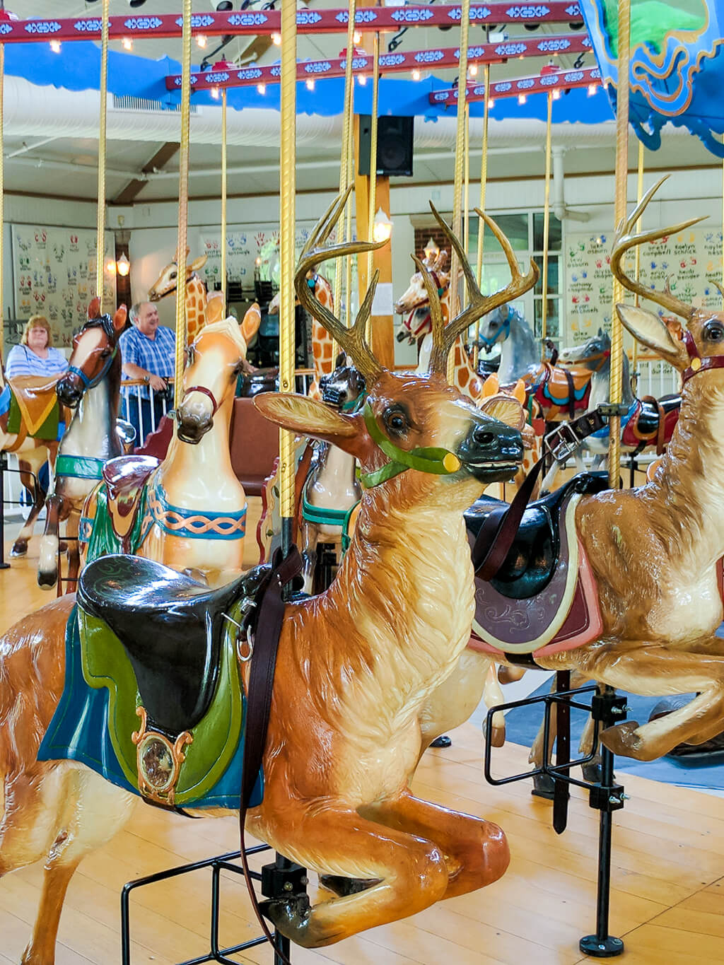 Carousel animals at Logansport Carousel