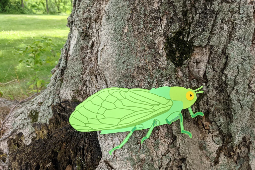 Paper cicada summer craft idea for kids