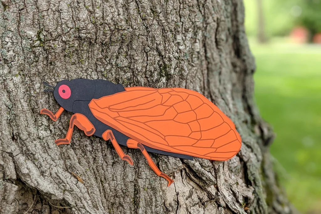 Paper cicada summer craft idea for kids