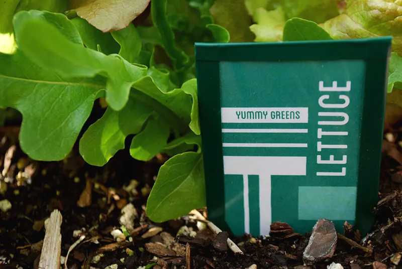 How to make DIY garden seed markers from recycled plastic salad containers craft ideas and free printable template DIY plant markers green recycled Earth Day