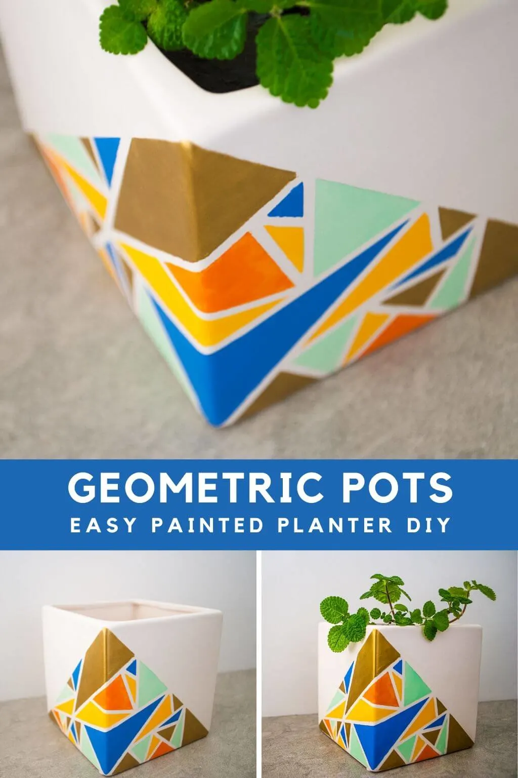 Geometric pots easy painted planter DIY