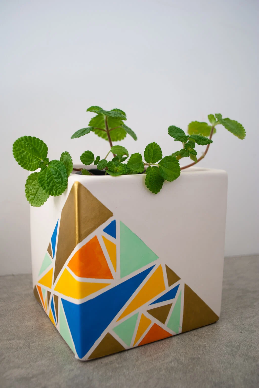 DIY painted geometric planter with plant