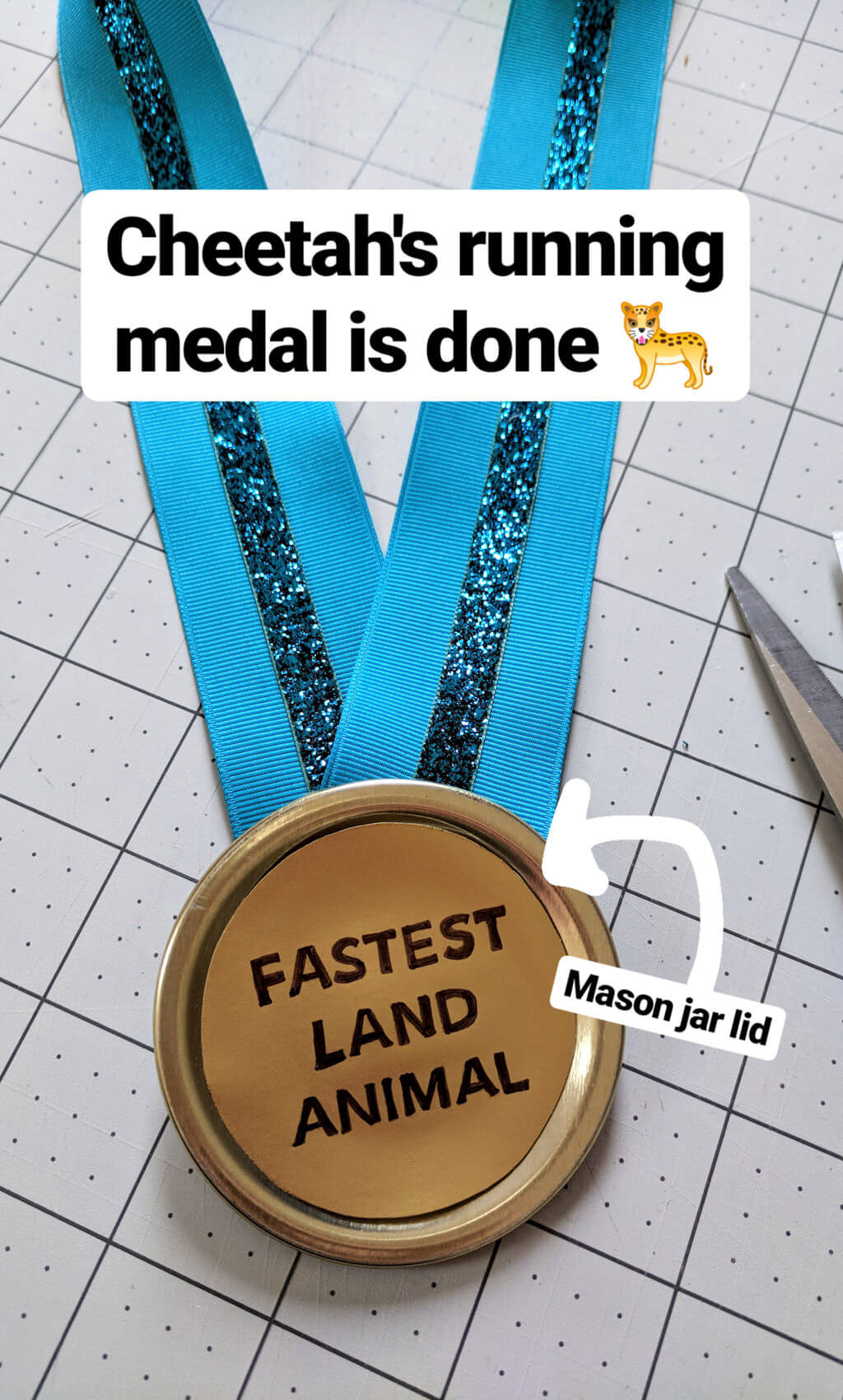 DIY 'Fastest Land Animal' running medal