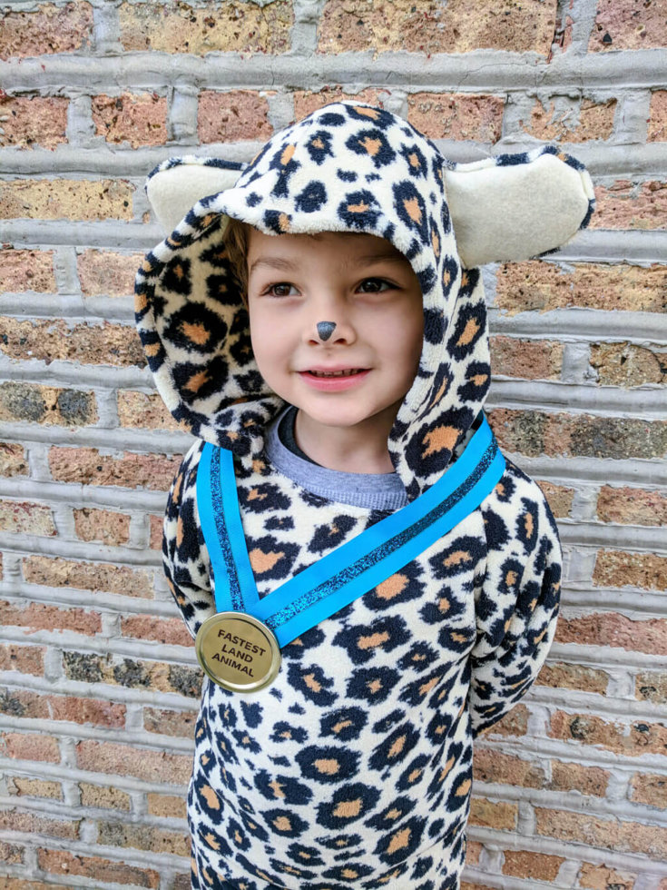DIY Kids Cheetah Halloween Costume for Boys - Merriment Design