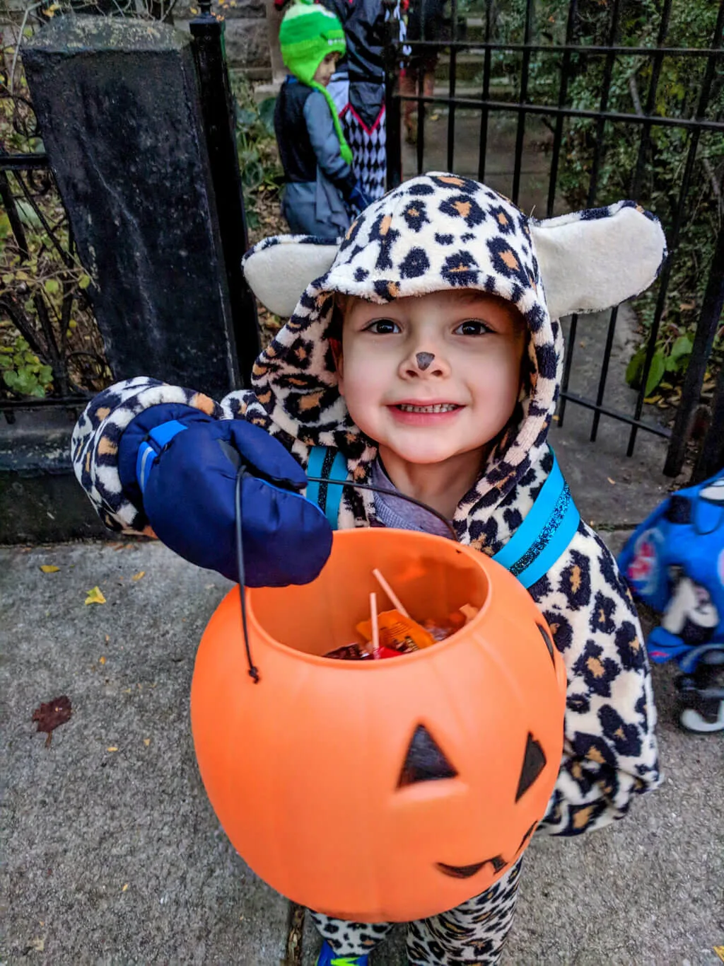 Boy trick-or-treating in cheetah costume