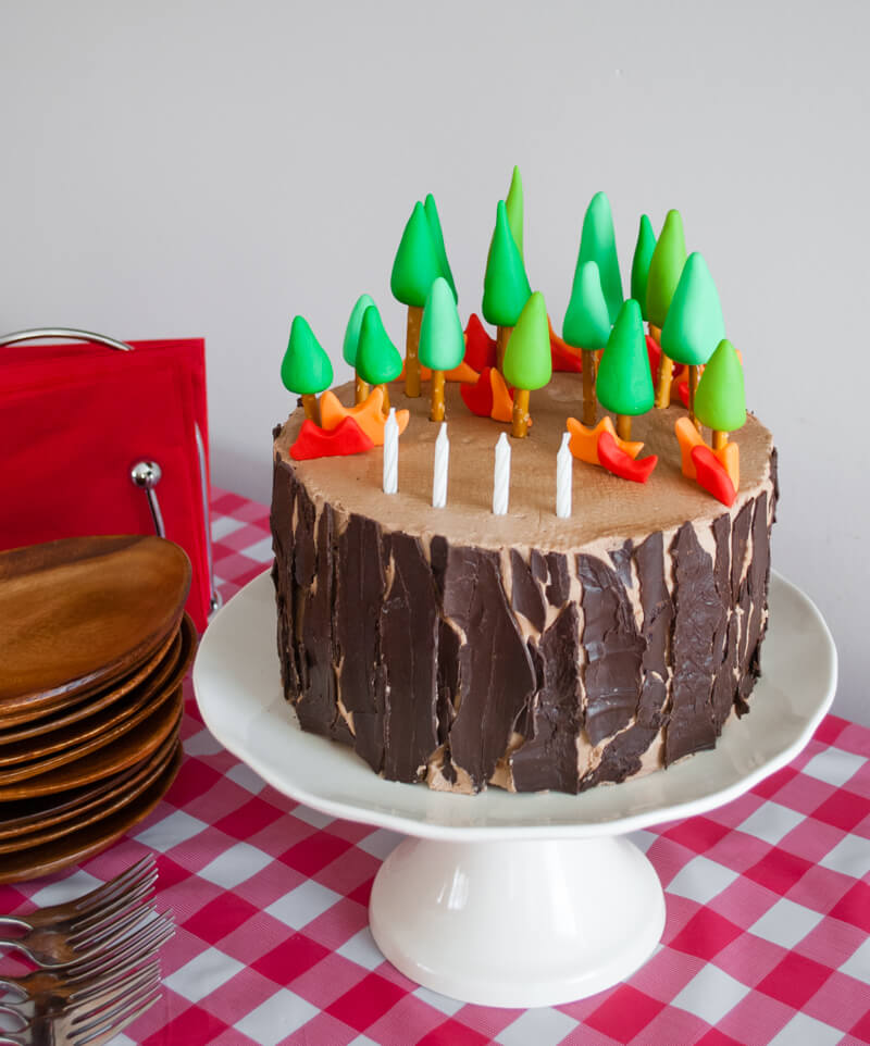 Easy DIY Planes Fire & Rescue Birthday Cake for your little fireman. This cute forest trees and flames cake is simple for beginners. Firemen Dusty, Blaze, Dipper and Windlifter are on their way to put out the forest fire in Piston Peak National Park! A trees birthday cake would be cute for a camping birthday party too.