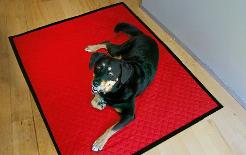 Dog sitting on an DIY dog blanket