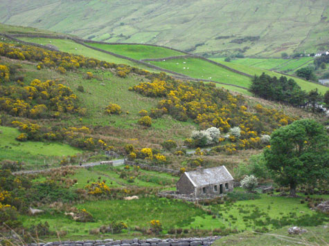 Merriment :: Ireland Inspirations