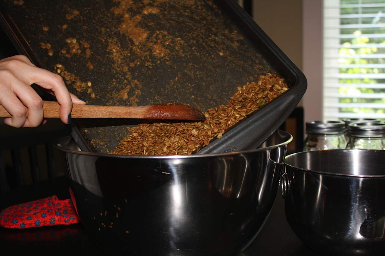 Homemade Cranberry Granola Recipe DIY gift idea