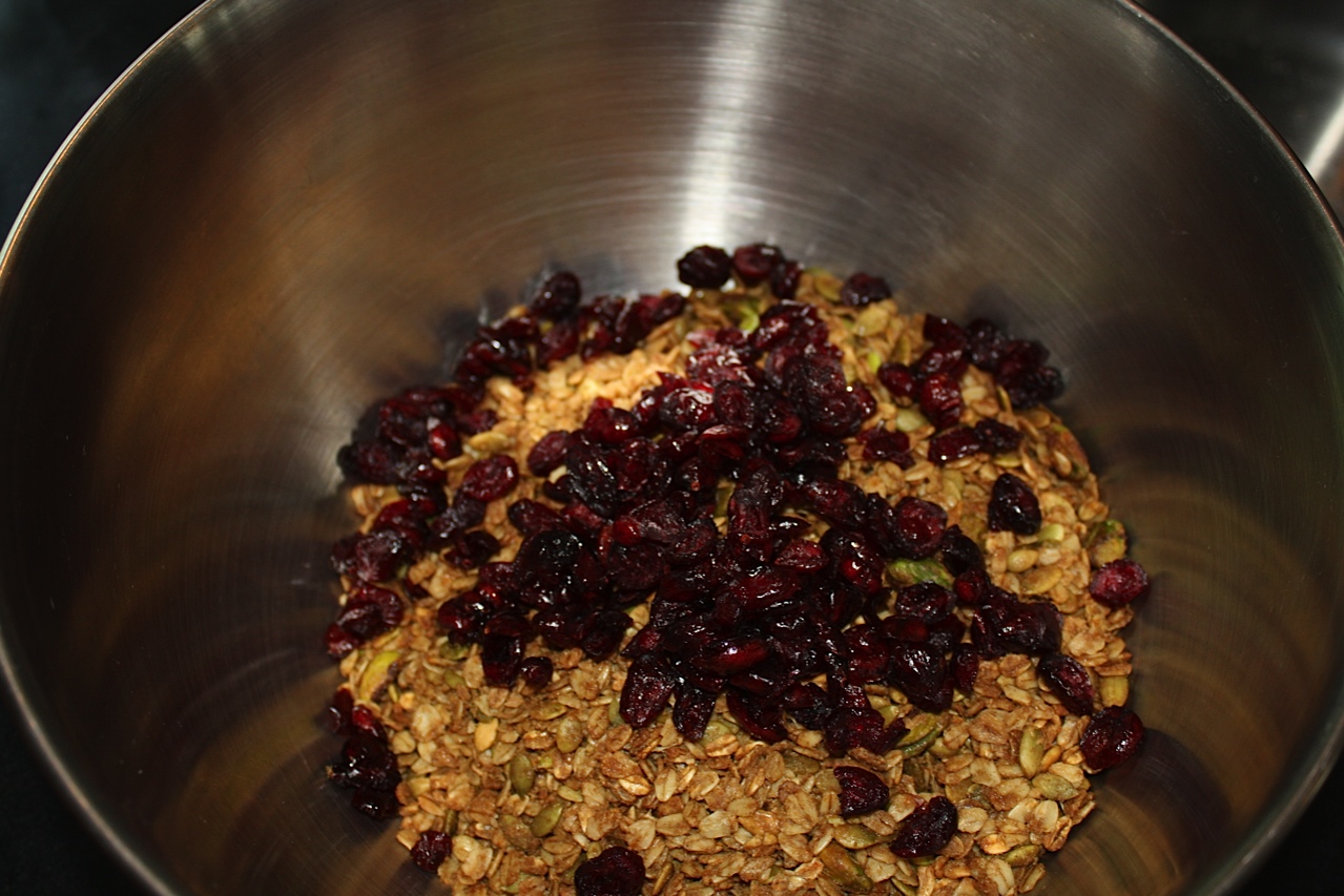 Homemade Cranberry Granola Recipe DIY gift idea