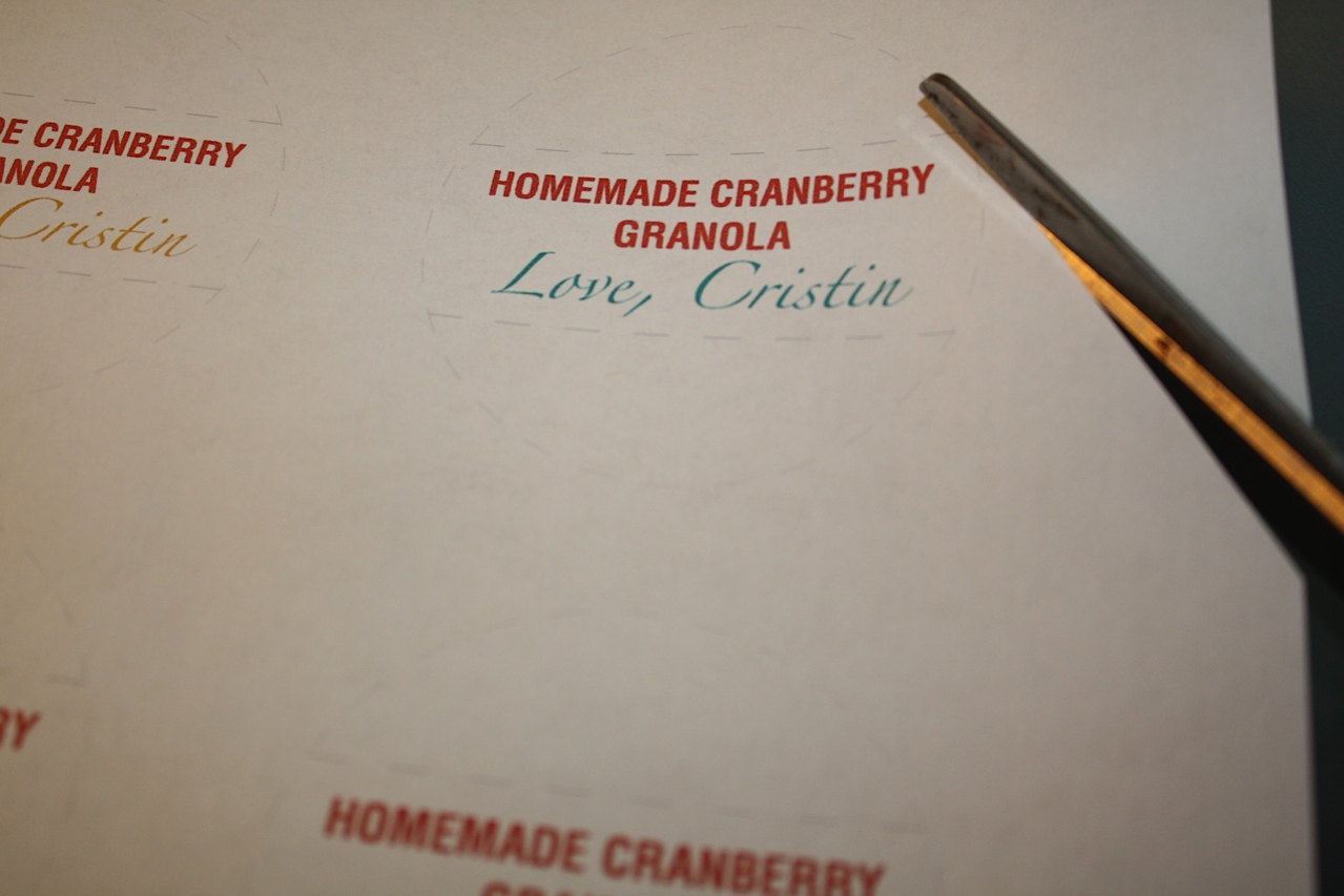 Homemade Cranberry Granola Recipe DIY gift idea