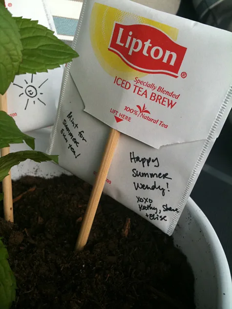 How to make Mint Plant with Teabag Card hostess or housewarming gift idea free project tutorial