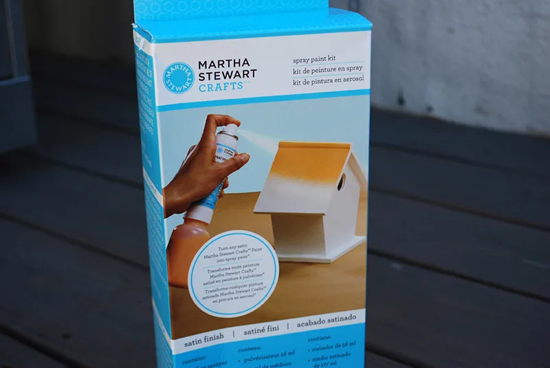 How to use the Martha Stewart Satin Spray Kit and review