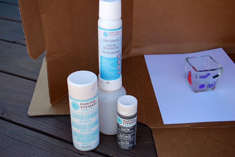 How to use the Martha Stewart Satin Spray Kit and review