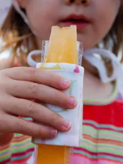 Insulated holder for stick popsicles and frozen yogurt - no more chilly hands!