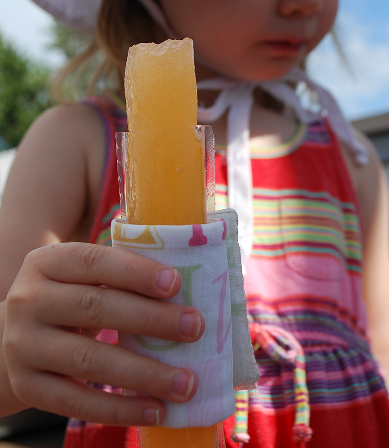 Insulated popsicle holder DIY tutorial