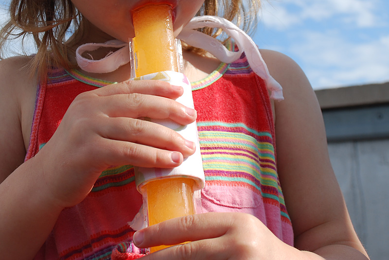 Insulated popsicle holder DIY tutorial