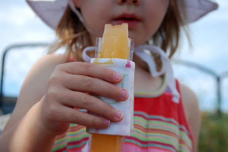 Insulated popsicle holder DIY tutorial