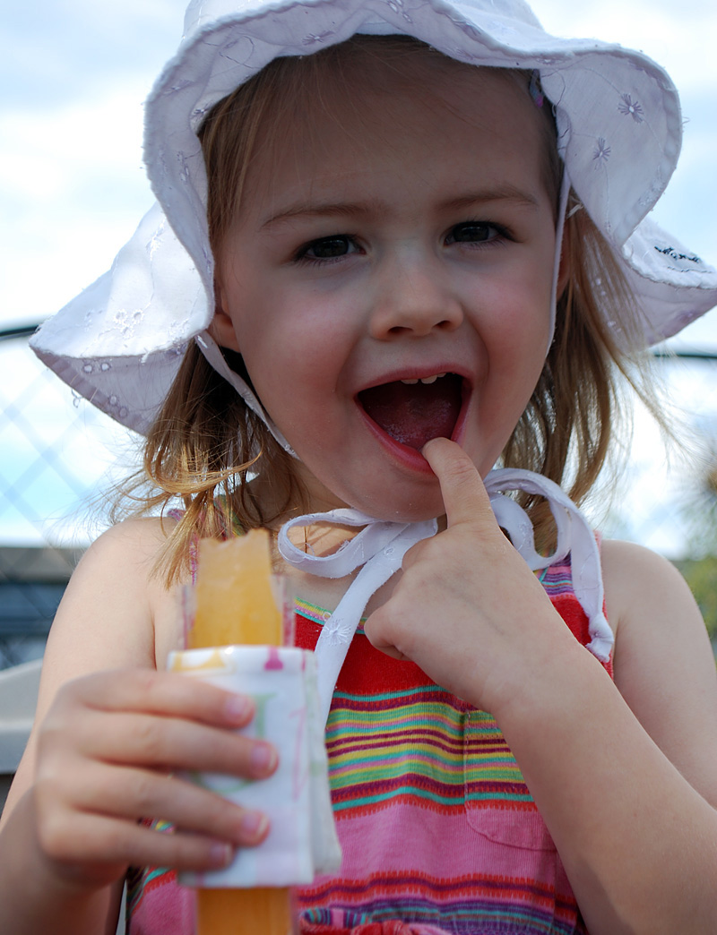 Insulated popsicle holder DIY tutorial