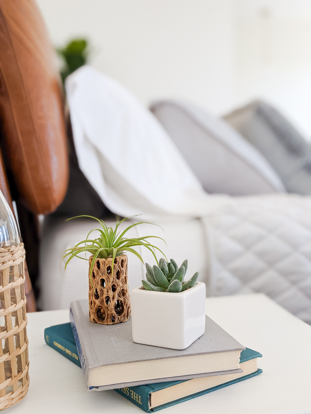 Plants and books on a bedroom nightstand