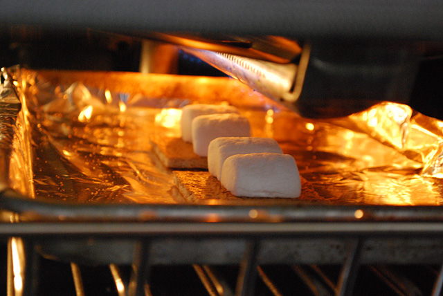 Peanut Butter Cup S'mores Recipe