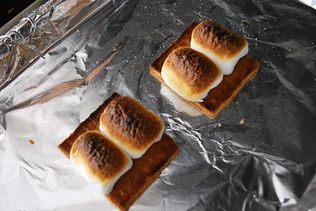 Peanut Butter Cup S'mores Recipe