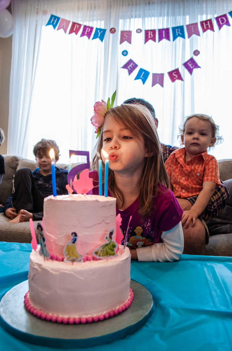 Personalized Princess Birthday Party Banner printable PDF for 'All the Disney Princesses' @merrimentdesign