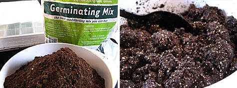 Merriment :: Planting vegetable, herb and flower seeds for the garden