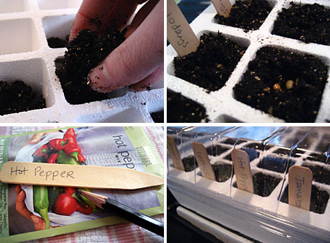 Merriment :: Planting vegetable, herb and flower seeds for the garden